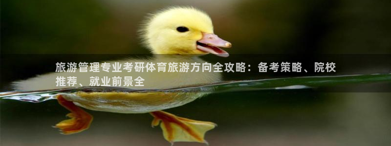 必一体育bsport