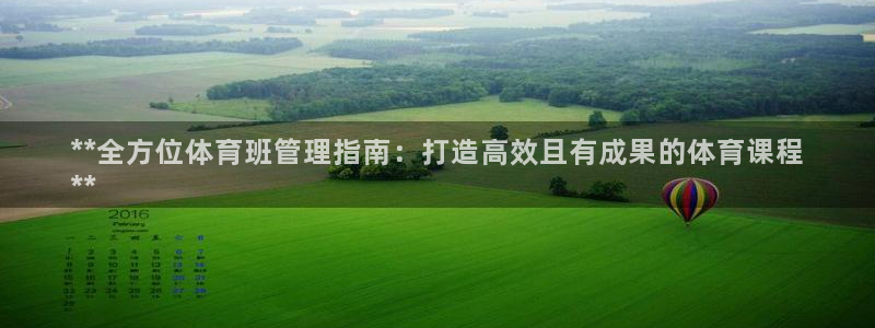 必一运动 b 体育素