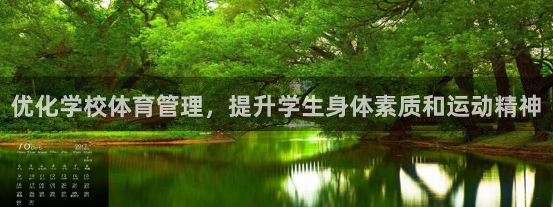 必一体育网站：优化学