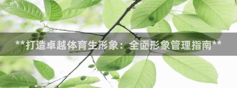 必一体育sport装