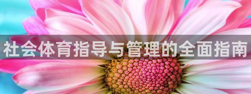 必一体育合法吗：社会
