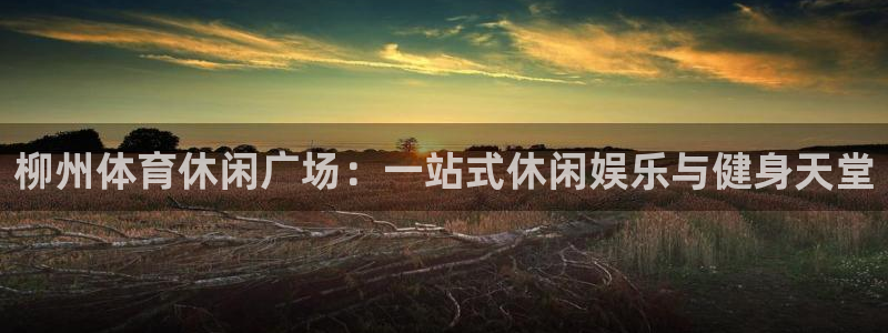 必一运动·(B-Sp