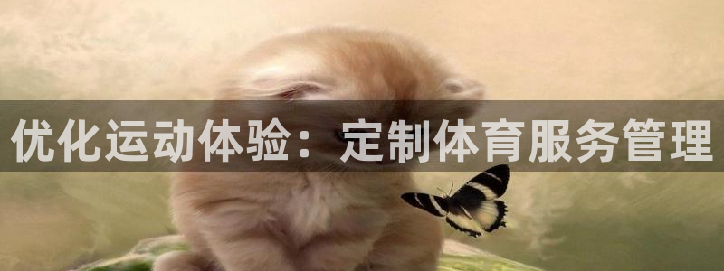 必一体育app平台下