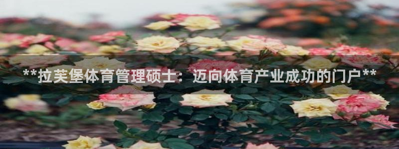 必一体育黑平台：**