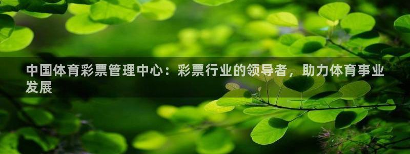 必一运动：中国体育彩