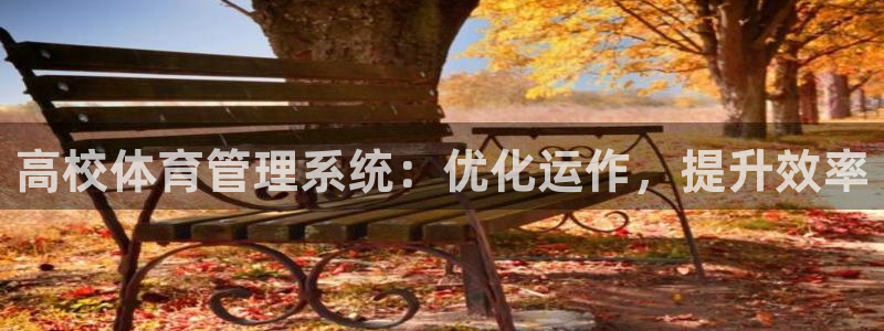 必一运动B-Spor
