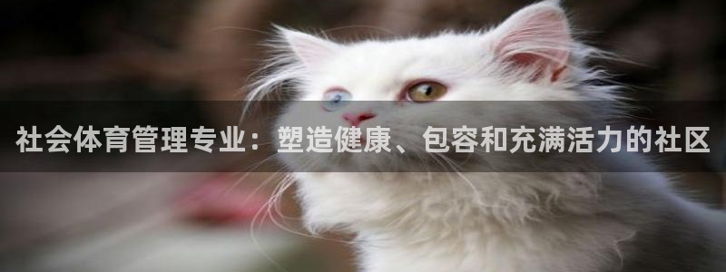 必一体育下载app：
