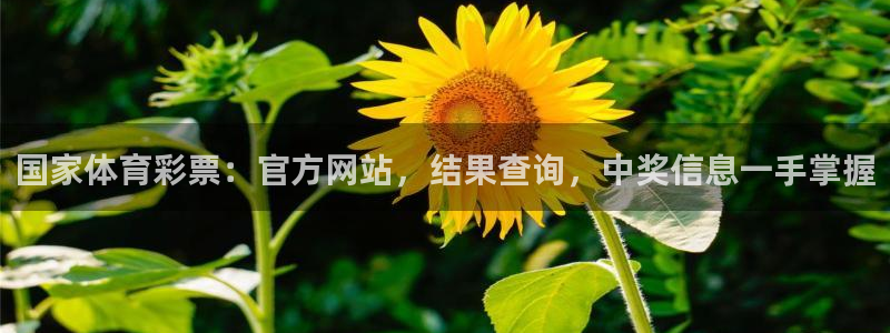 必一体育sport官