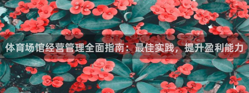 必一体育运动官网：体