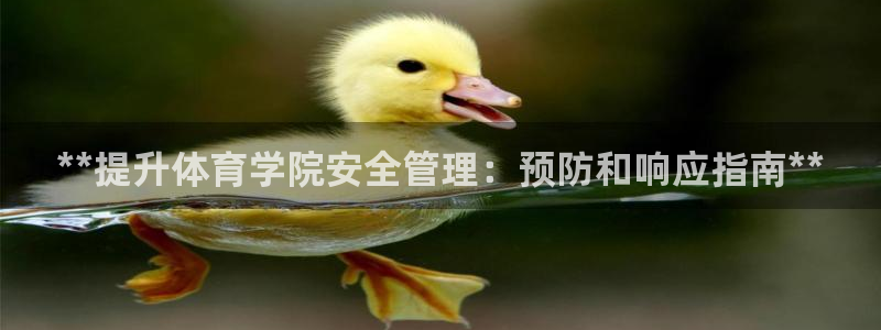 必一体育APP：**