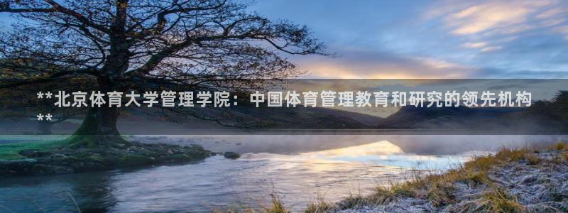 必一体育网页登录版官