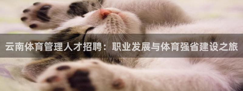 必一体育官方app下