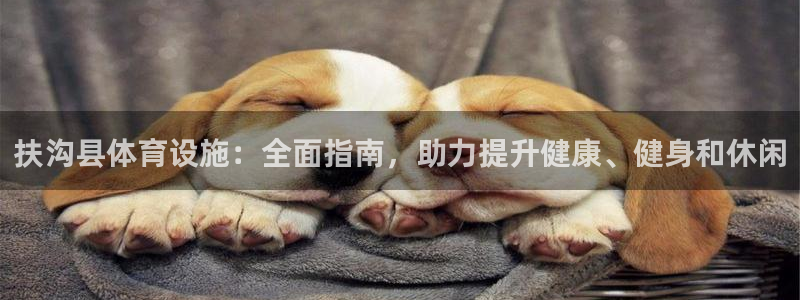 必一体育官网网站：扶