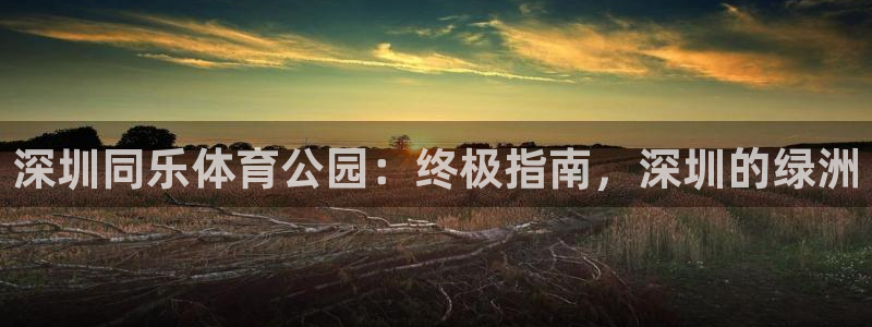 必一体育运动下载：深