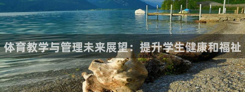 必一体育官方app下