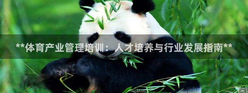 必一运动·(B-Sp