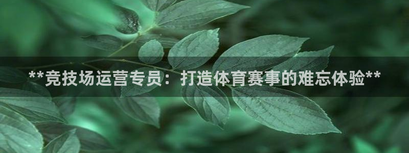 必一体育官网ios下