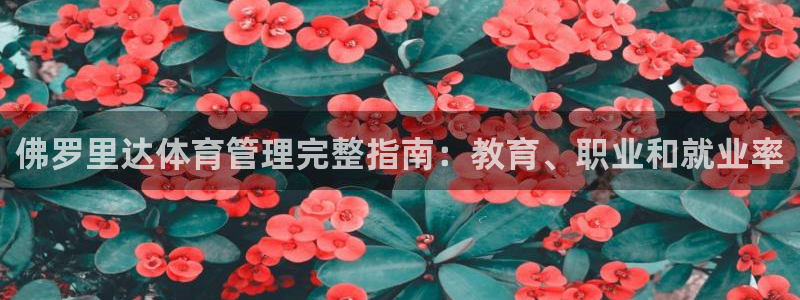 必一体育app下载：