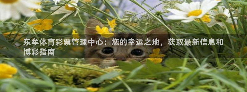 必一体育在线官网：东