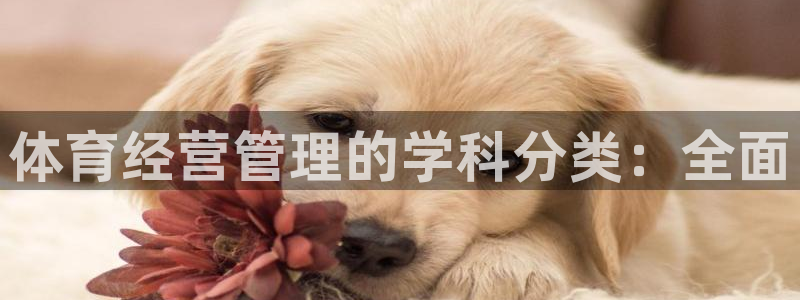 必一体育登录：体育经