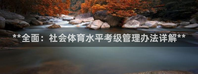 必一体育服下载最新版