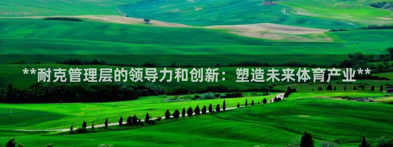 必一体育官网ios下