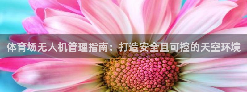 必一体育sport官