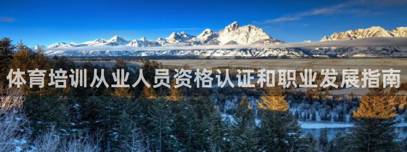 必一体育电子app：
