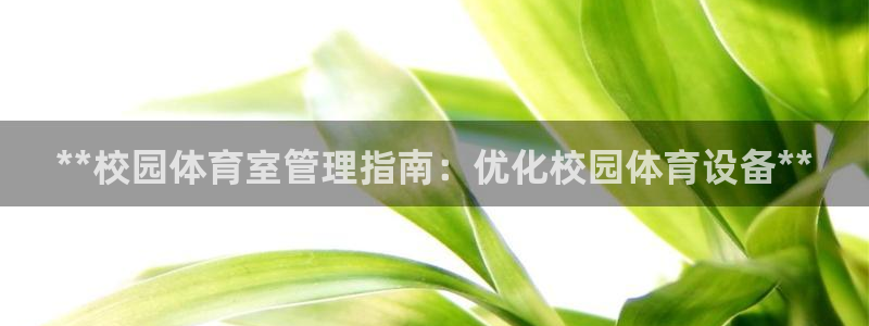 必一体育bsport