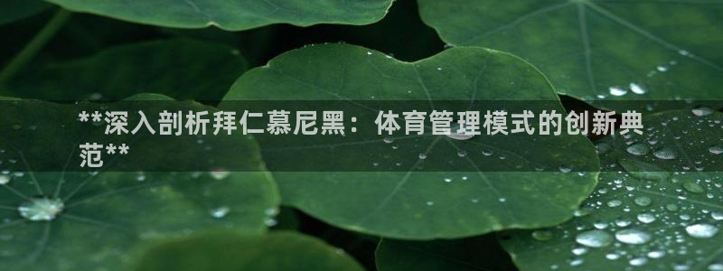 必一体育游戏玩法：*