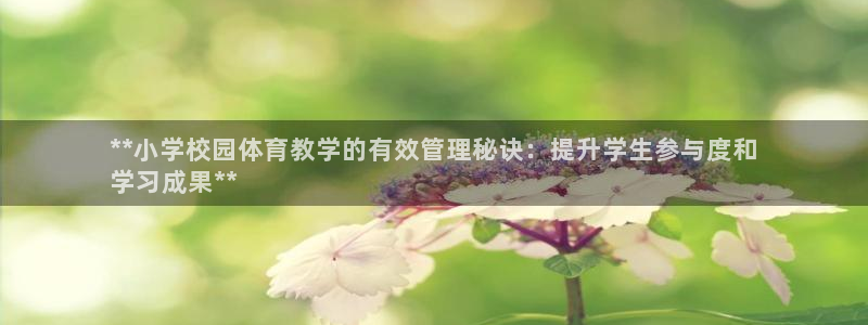 必一体育在线官网：*