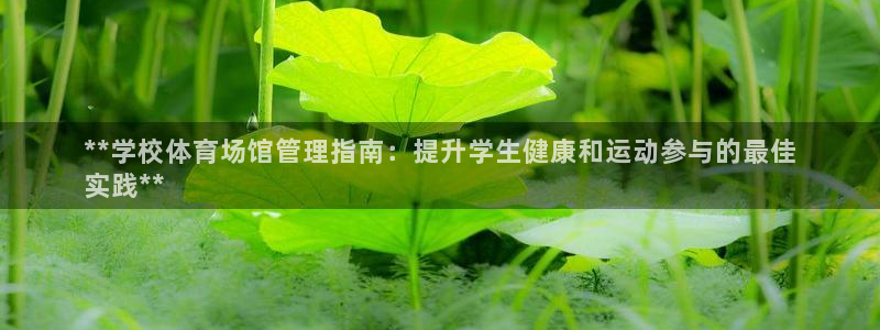 必一体育登录：**学