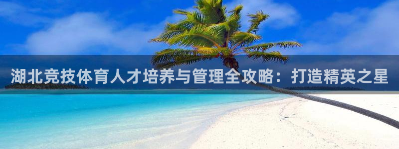 必一体育没了：湖北竞