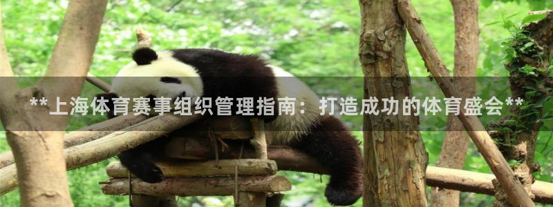 必一运动体：**上海