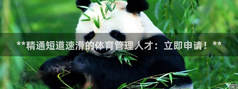 必一体育是啥：**精
