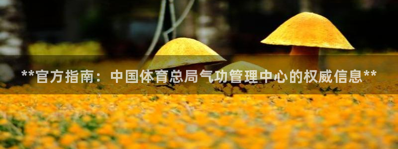 必一运动·(B-Sp