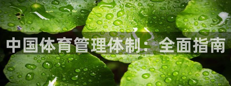 必一运动官网入口：中