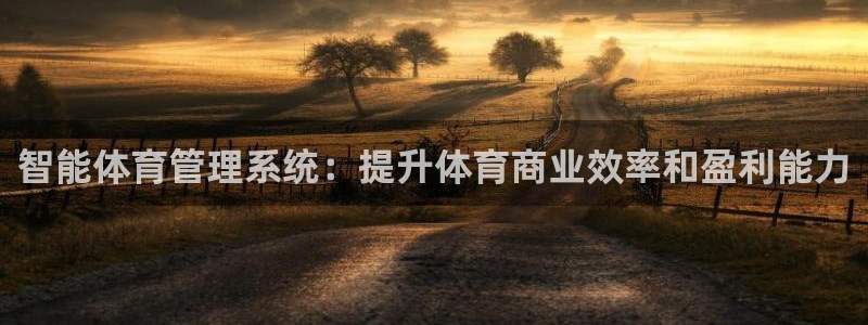 必一体育手机下载：智