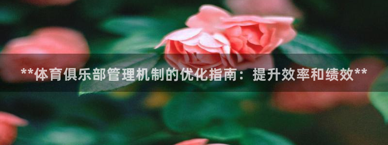 必一运动官网：**体