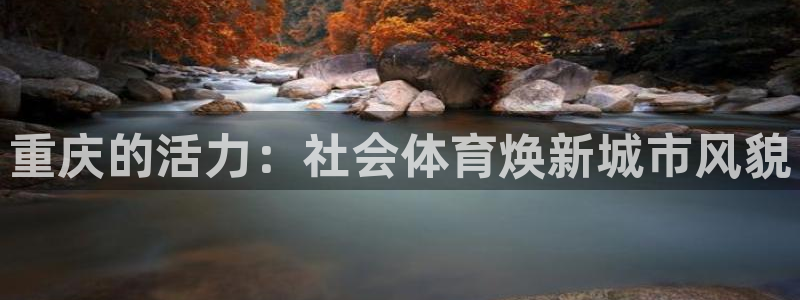 必一运动 b 体育素