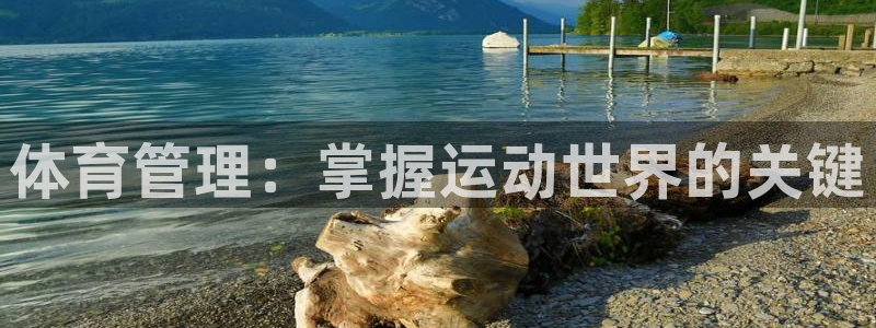 必一体育电子app：
