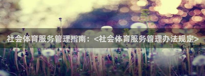 必一体育下载移动版：