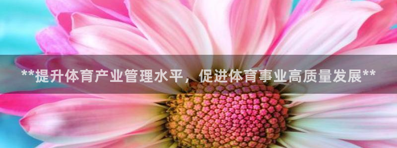 必一体育在哪下：**