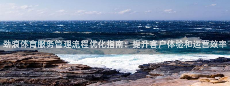 必一体育黑钱：劲浪体