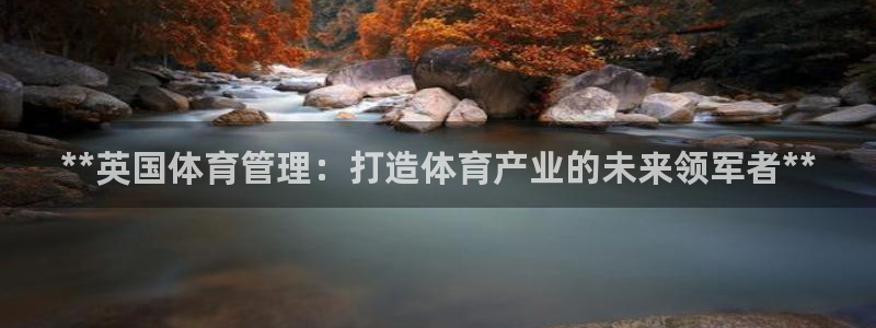 必一运动：**英国体