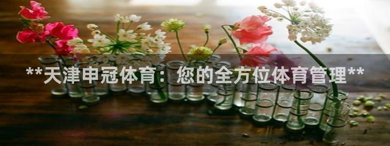 必一体育是啥：**天