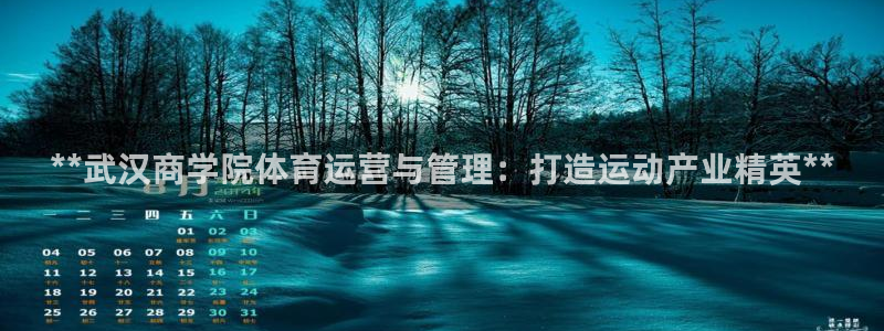 必一体育运动app下
