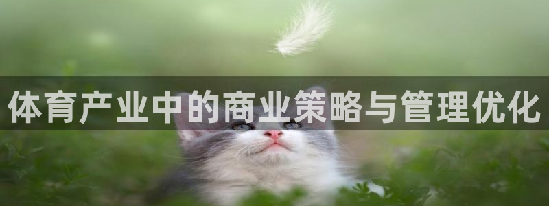 必一体育sport装