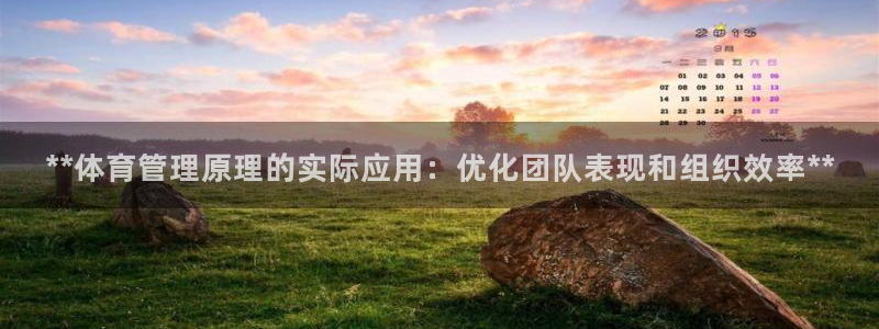 必一体育手机下载：*