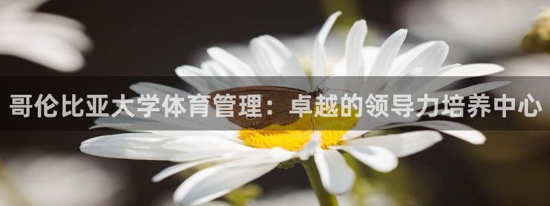 必一体育秀给网：哥伦